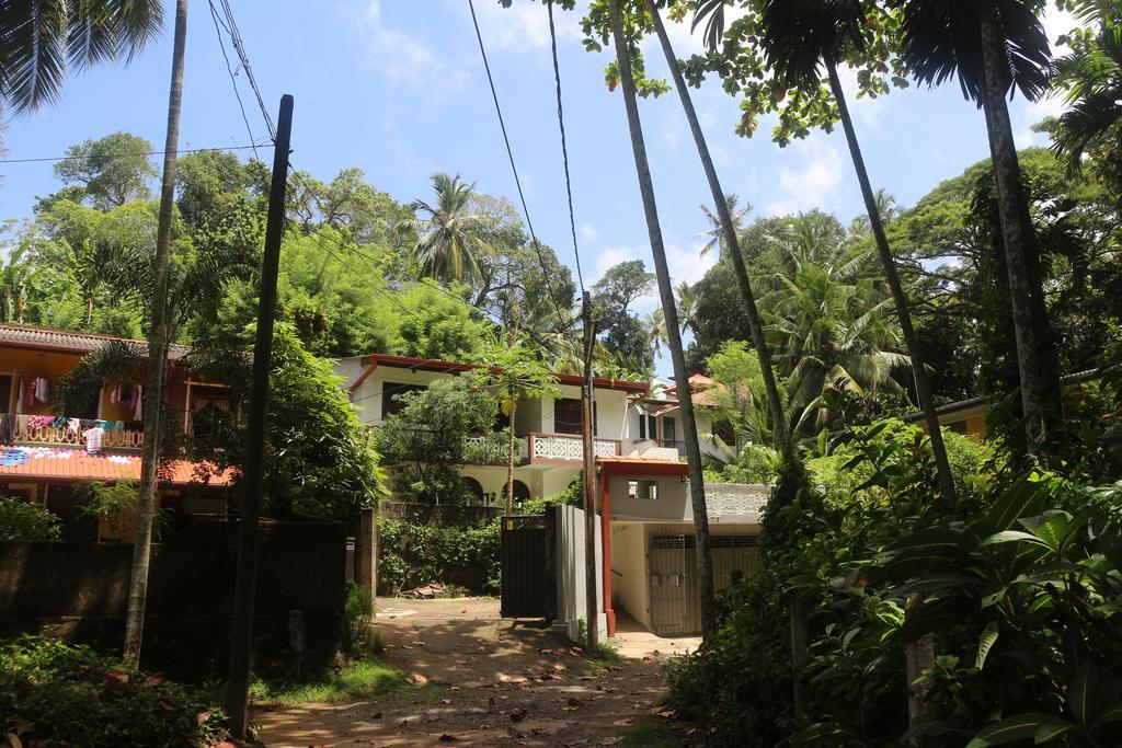 Jungle Guest House Galle Extérieur photo